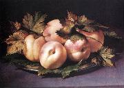 Still-life with Peaches and Fig-leaves fdg FIGINO, Giovanni Ambrogio